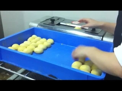 CG-38 elektrische broodrooster